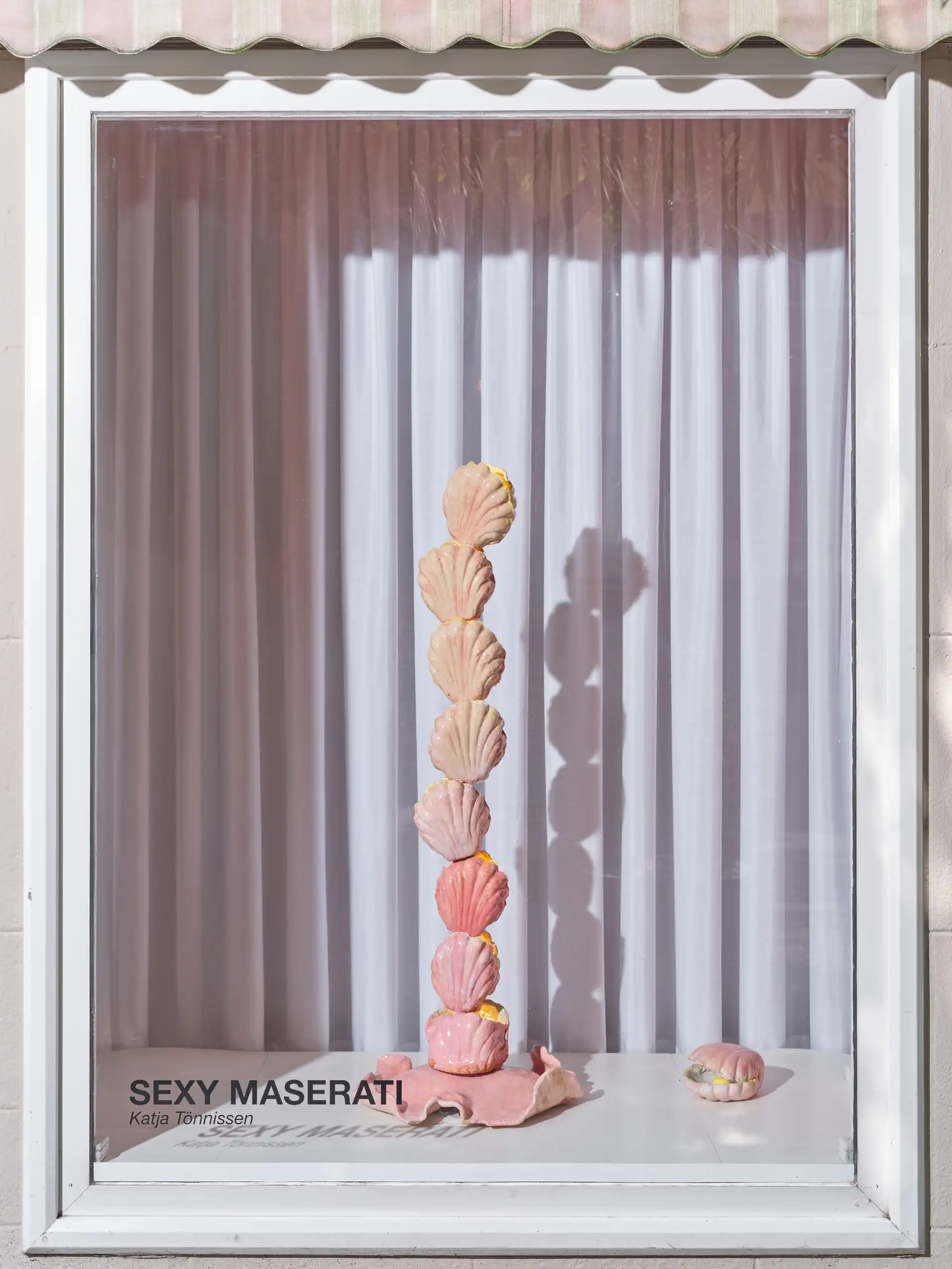 Muscheln in einem Schaufenster welche vertikal gestapelt wurden