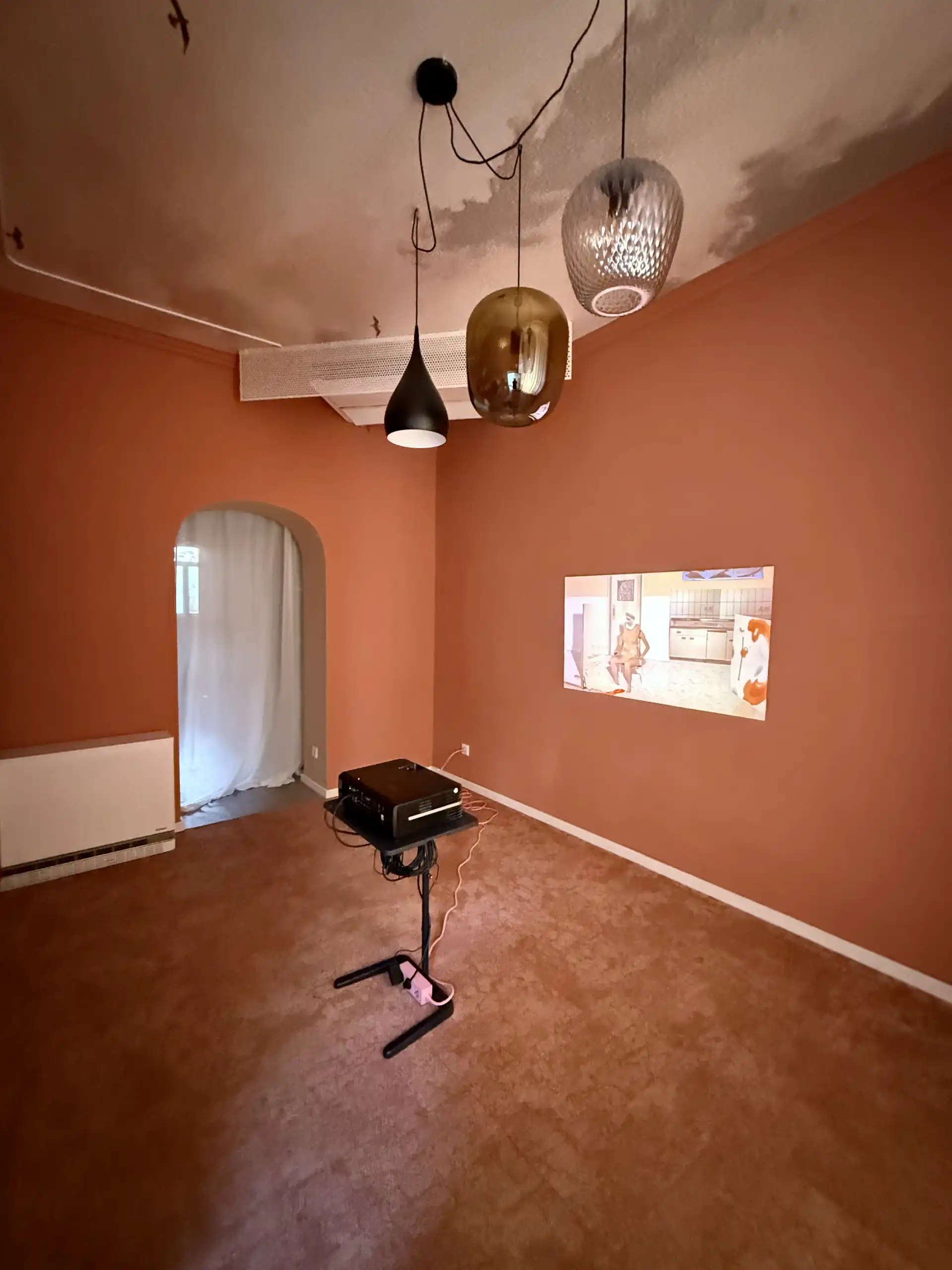 Projektion eines Kunstwerkes von Hedda Roman