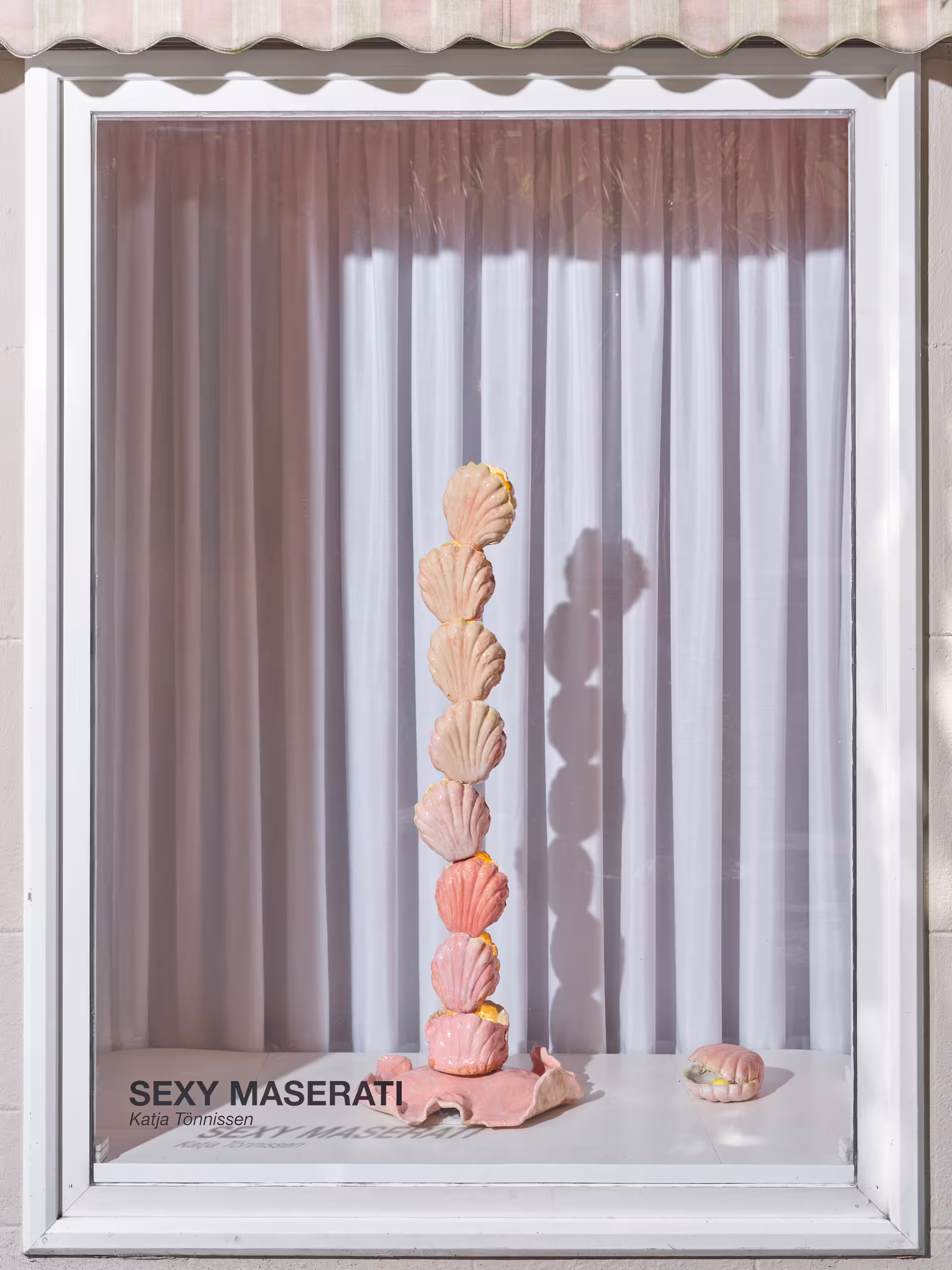 Muscheln in einem Schaufenster welche vertikal gestapelt wurden